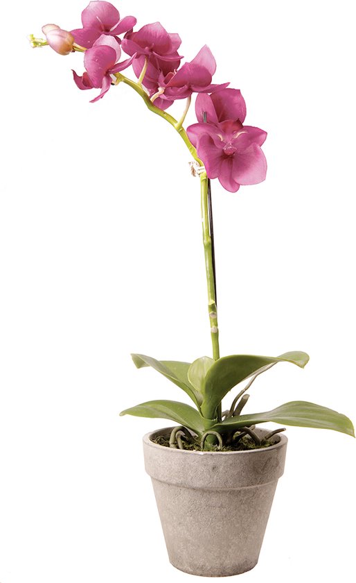 Roze kunstorchidee op pot H34