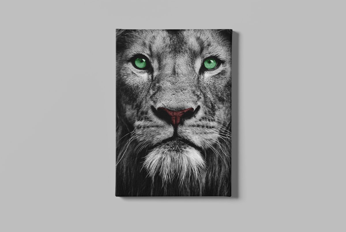 Trendex Global Canvas Schilderij - Wilde Dieren - Leeuw - Grijs - 120x80 cm