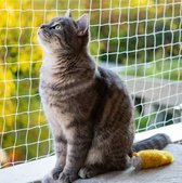 Kattennet voor Balkon transparant 6x3 m