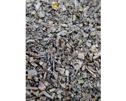Koningskaars (Verbascum thapsus)50g Gedroogd, gesneden