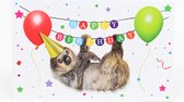 Verjaardag wenskaarten hondjes 6 stuks met 3D applicatie - Felicitatie kaarten - Gefeliciteerd kaarten