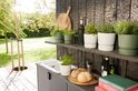 Buitenkeuken met groene bloempotten, broodjes en een vrouw die haar handen wast.