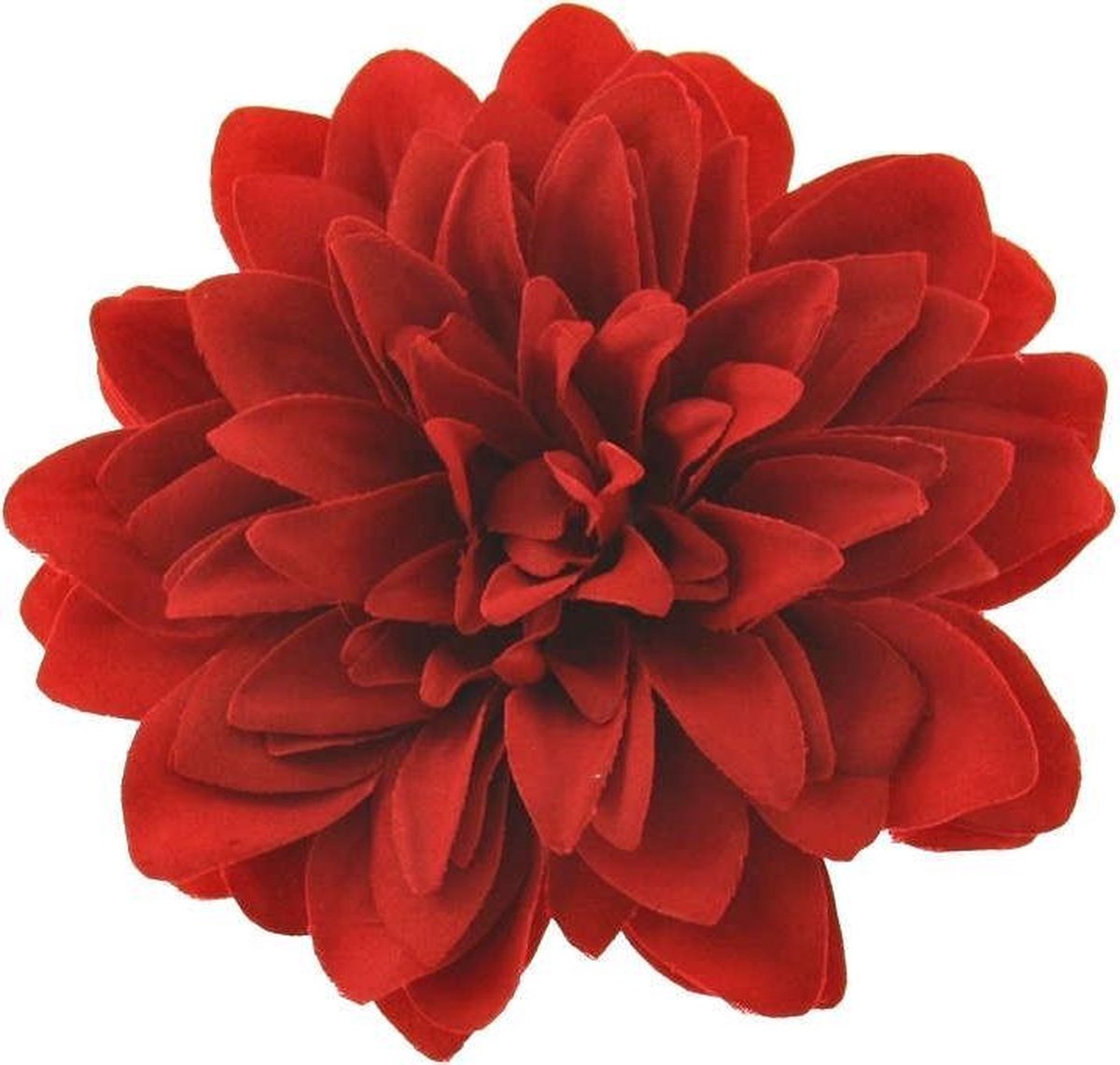Zac's Alter Ego - Large chrysanthemum Haarbloem - Rood - Zac's Alter Ego