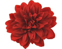 Zac's Alter Ego - Large chrysanthemum Haarbloem - Rood
