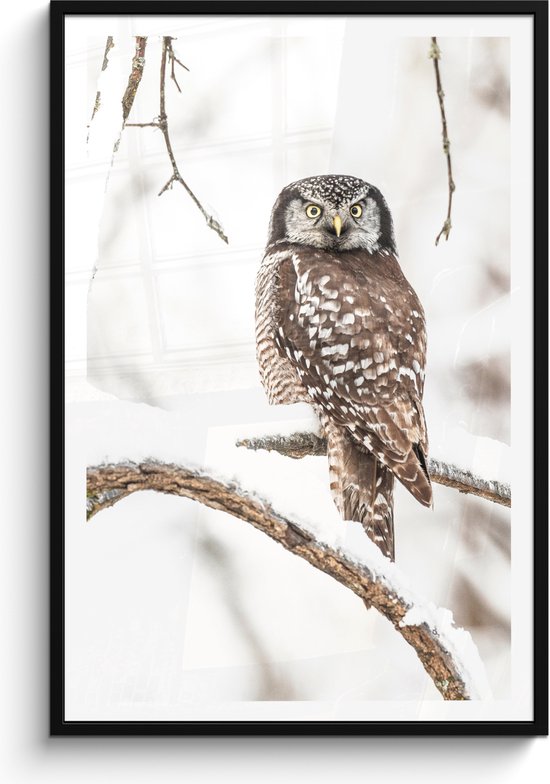 Fotolijst inclusief poster 80x120 cm - Winter uil - Foto in lijst - Natuurlijke sneeuw decoratie - Muurdecoratie vogels woonkamer - Houten muur fotohouder - Picture frame - Schilderijlijst - lijst - Fotoframe