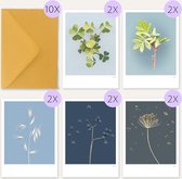 Wenskaarten - set 10 stuks - botanisch blauw - bloemen - met envelop - gevouwen kaarten - alle gelegenheden - kunstkaart - klaver