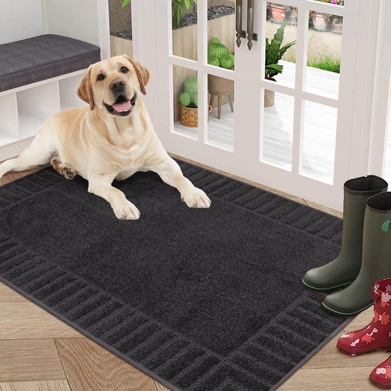 Bastix - Grote deurmat voor binnen, super absorberende vuilvangmat, antislip, wasbare deurmat, vuilvanger, tapijt voor hond, entree, voordeur, 80 x 120 cm, donkergrijs