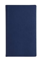 Brepols agenda 2024-2025 - 16 M - Interplan TRENTO - Weekoverzicht - Blauw - 9 x 16 cm