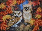 BORDUURPAKKET met parels - Owls - Uilen - VDV - borduren met kralen - 0068