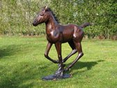 Tuinbeeld - brons - Lopend veulen - Bronzen beeld - 35 cm hoog - bronzartes