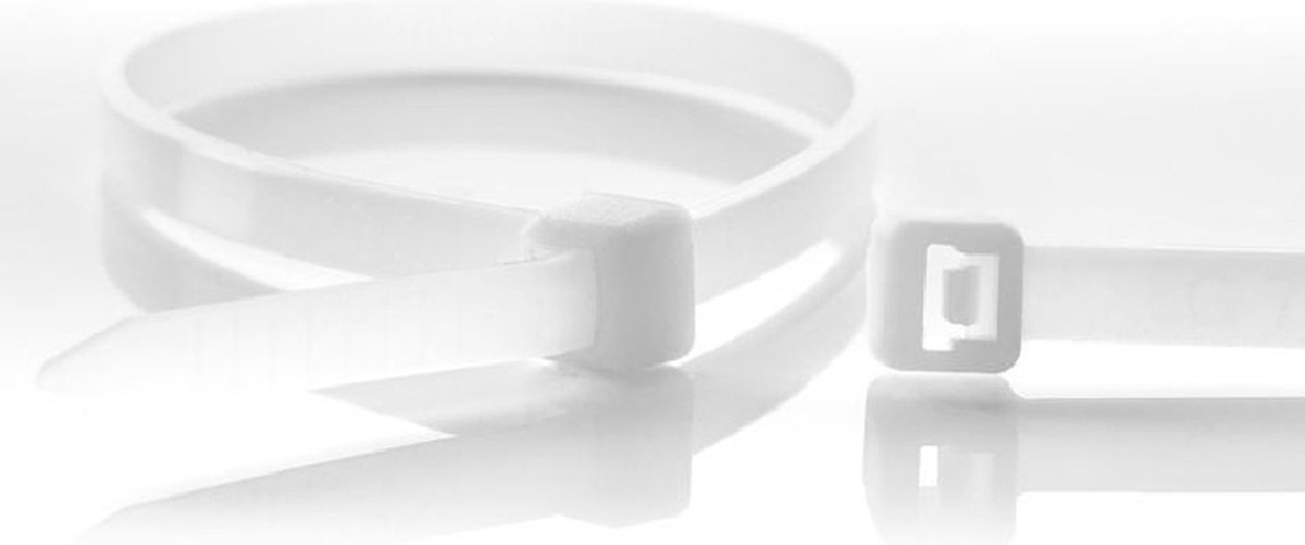 WKK Kabelbinders 280 x 4 8mm Trekkracht tot 22 2kg 100 stuks Transparant