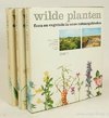 Wilde planten