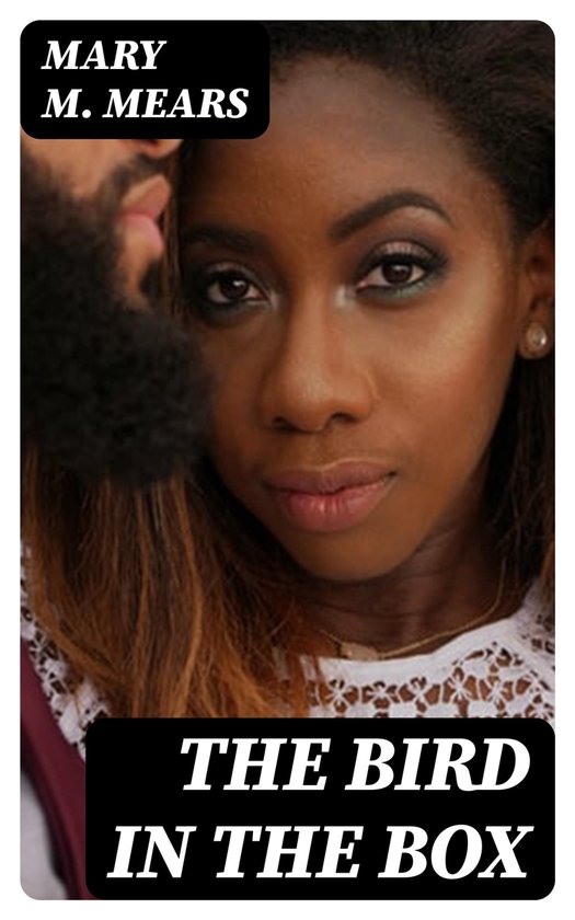 The Bird in the Box - cover