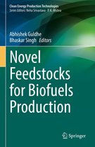 Clean Energy Production Technologies - Novel Feedstocks for Biofuels Production