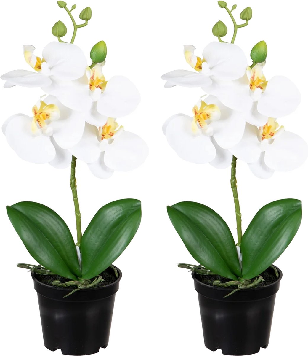 Louis Maes Orchidee bloemen kunstplant op plug - 2x - bloemen/bloemetjes - wit/groen - H33 cm