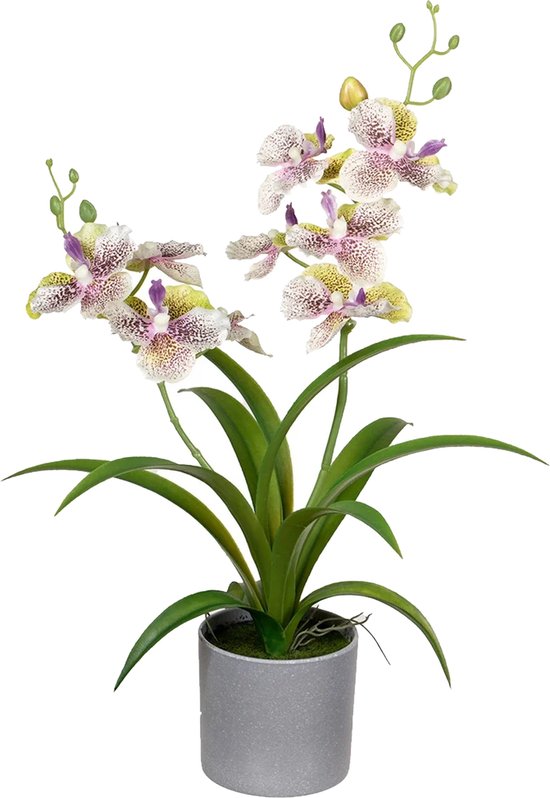 Louis Maes Orchidee bloemen kunstplant in bloempot - creme/lila bloemen - H38 cm - Kamer/kantoor/badkamer
