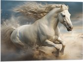 Vlag - Paard - Dier - Wit - Rennen - 80x60 cm Foto op Polyester Vlag
