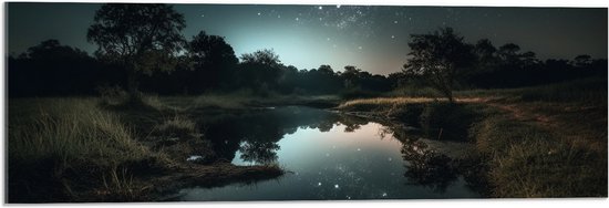 Acrylglas - Landschap - Sterren - Water - Bomen - Nacht - 90x30 cm Foto op Acrylglas (Wanddecoratie op Acrylaat)