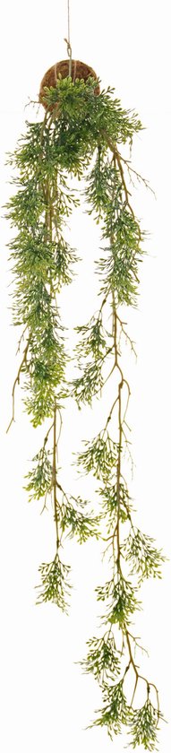 Kokedama - bosbol - rozemarijn - met touw - 90cm - kunstplant