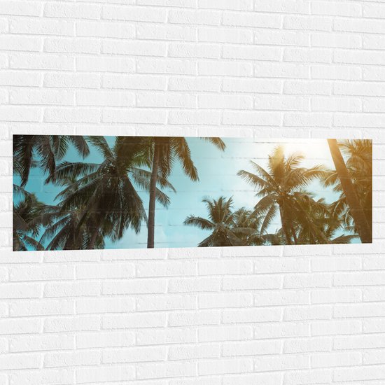 Muursticker - Palmbomen - Tropisch - Zonlicht - 150x50 cm Foto op Muursticker