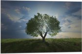 Vlag - Landschap - Natuur - Boom - 75x50 cm Foto op Polyester Vlag