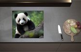 Inductieplaat Beschermer - Aankijkende Panda op Boomstam in het Bos - 58x51 cm - 2 mm Dik - Inductie Beschermer - Bescherming Inductiekookplaat - Kookplaat Beschermer van Wit Vinyl