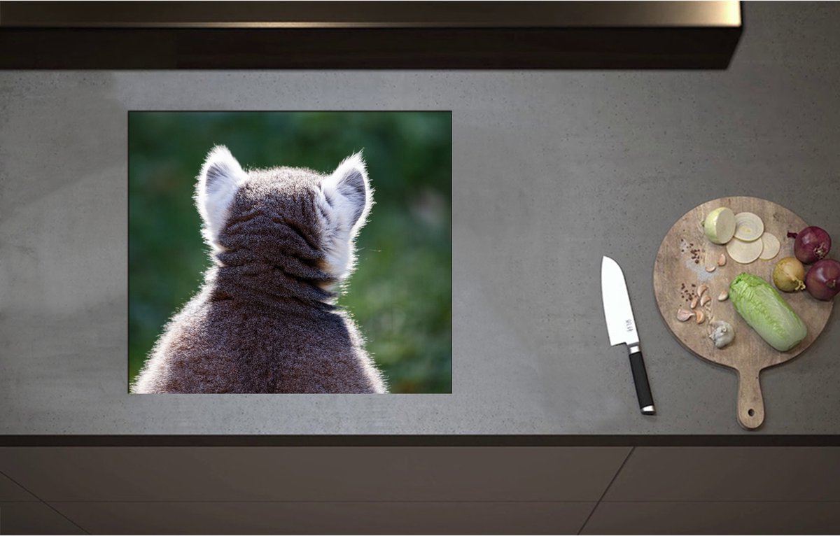 Inductieplaat Beschermer - Achteraanzicht van een Pluizige Ringstaartmaki Aap - 58x51 cm - 2 mm Dik - Inductie Beschermer - Bescherming Inductiekookplaat - Kookplaat Beschermer van Wit Vinyl
