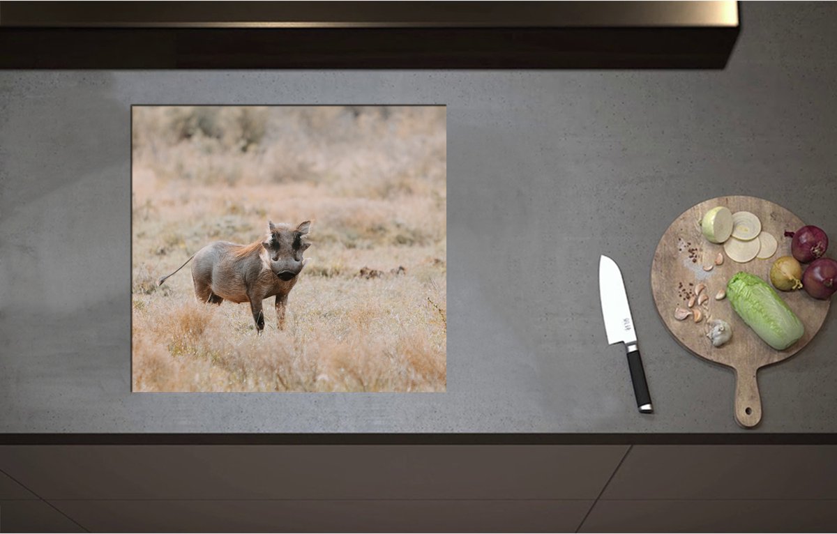Inductieplaat Beschermer - Aankijkend Zwijn in Droog Afrikaans Landschap - 57x52 cm - 2 mm Dik - Inductie Beschermer - Bescherming Inductiekookplaat - Kookplaat Beschermer van Zwart Vinyl