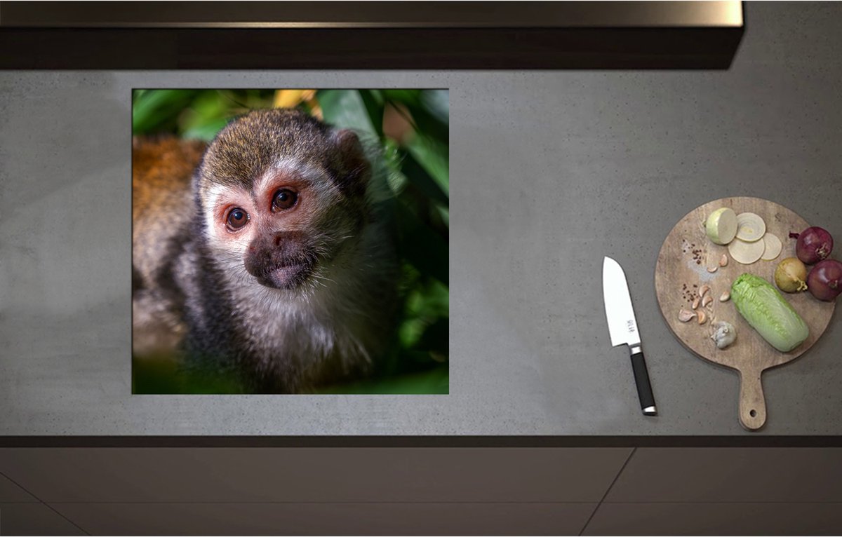 Inductieplaat Beschermer - Aankijkende Eekhoorn Aap tussen de Groene Begroeiing - 57x55 cm - 2 mm Dik - Inductie Beschermer - Bescherming Inductiekookplaat - Kookplaat Beschermer van Zwart Vinyl