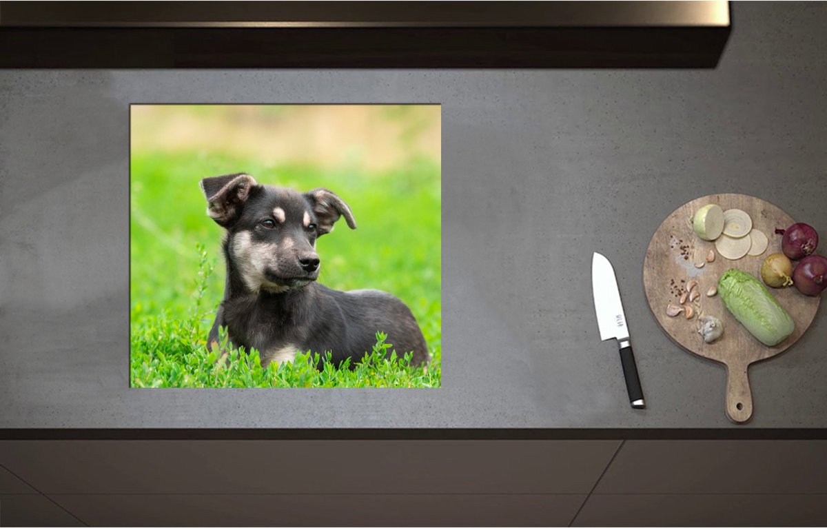 Inductieplaat Beschermer - Aandoenlijke Zwart met Bruine Puppy liggend in het Grasveld - 57x52 cm - 2 mm Dik - Inductie Beschermer - Bescherming Inductiekookplaat - Kookplaat Beschermer van Wit Vinyl