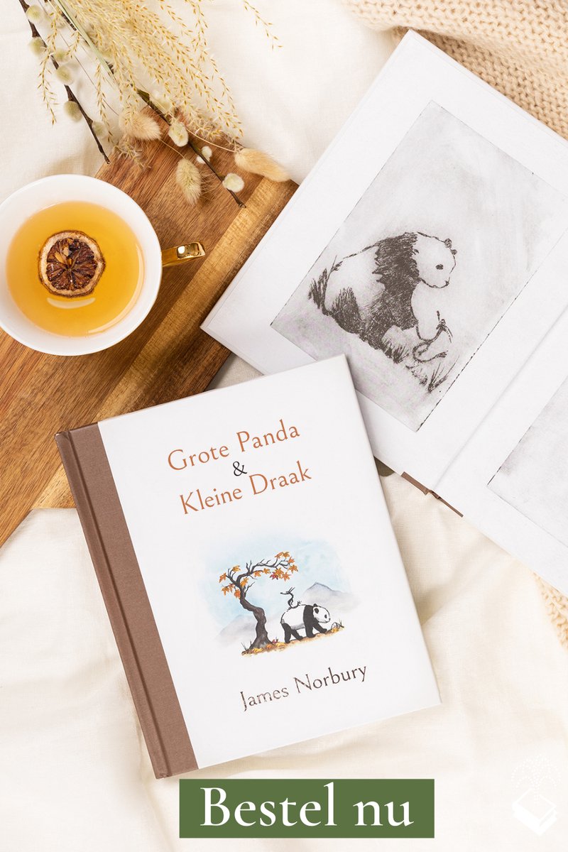 Panda 1 - Grote Panda & Kleine Draak — cadeau in Boeken - foto 4