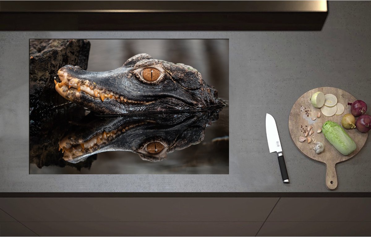 Inductieplaat Beschermer - Alligator Kop boven het Wateroppervlak - 80x55 cm - 2 mm Dik - Inductie Beschermer - Bescherming Inductiekookplaat - Kookplaat Beschermer van Wit Vinyl