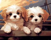 Schilderen op nummer Volwassenen – Schattige hondjes - 40 x 50 centimeter - Paint by numbers - Verven - Volwassenen - Cadeau voor man en vrouw