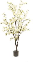 Bloesemboom - Cherry Blossom - Wit - 175cm - Kunstplant - Kersen Bloesem