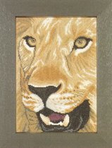 LanArte Leeuw in close up borduren (pakket)