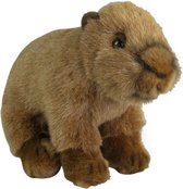 Nature Planet Knuffeldier Capybara - zachte pluche stof - premium knuffels - bruin - 18 cm