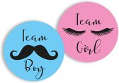 Stickers Team Boy en Team Girl | meisje | Voor Gender Reveal en Babyshower