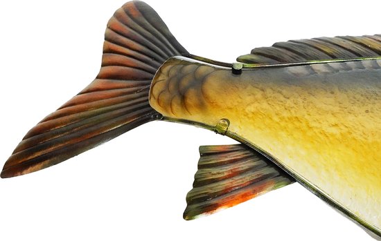 Eurocatch Glass Art - Muurdecoratie Spiegel karper 80cm - 3-D Metaal en Glas Kunst - Cadeau Idee - Mancave - Karper Beeld - Vaderdag Cadeau van Eurocatch — afbeelding 2