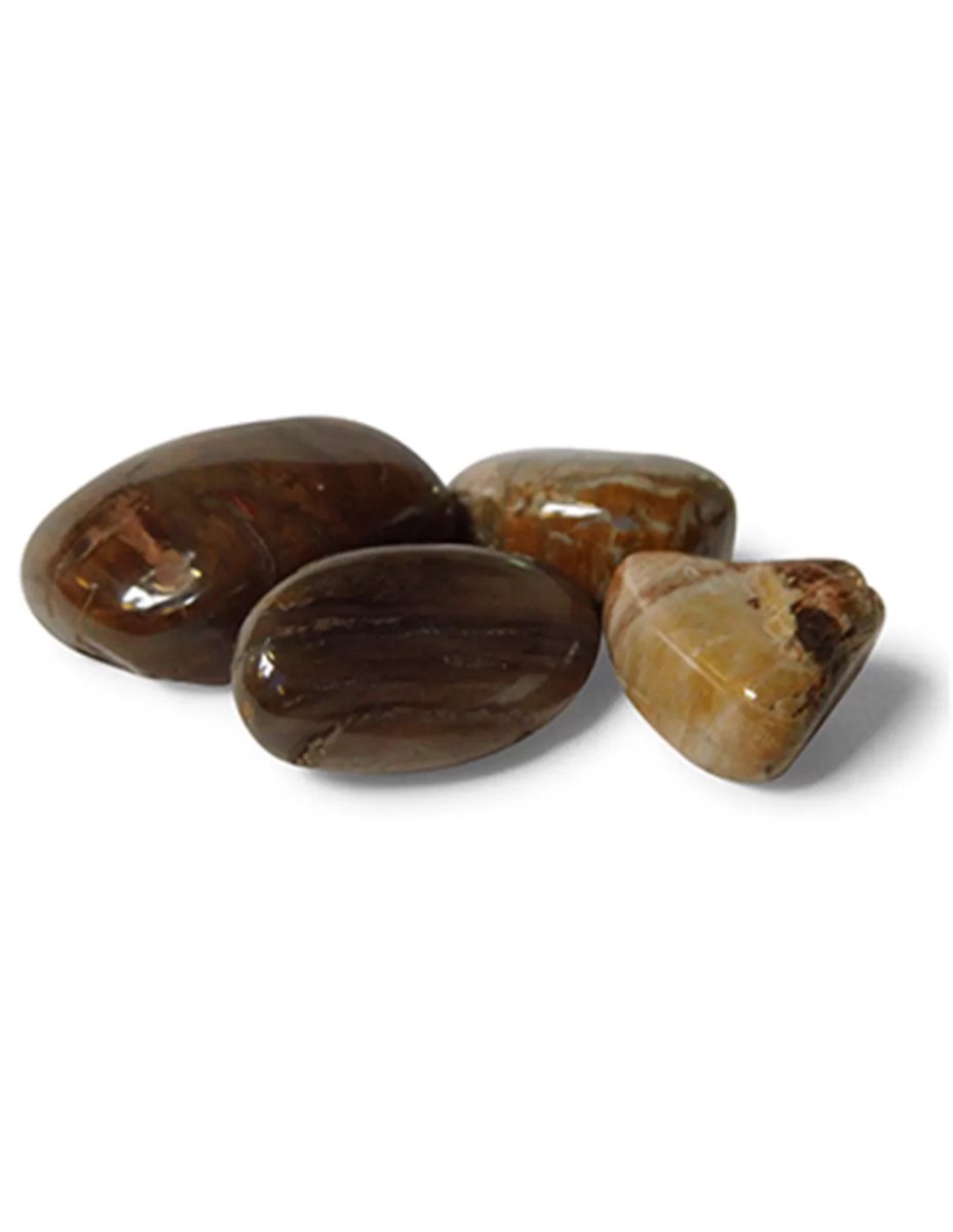 Stones & Bones® - Versteend Hout Trommelsteen - maat 3