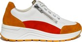 Solidus 59075 Multicolor