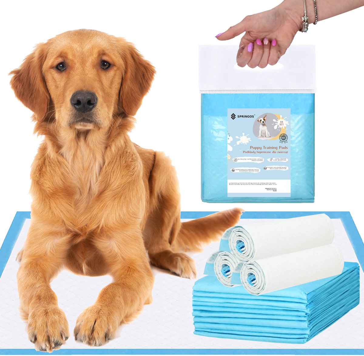 Goedkoopste Springos Puppy Training Pads| Plasmatjes Hond | Zindelijkheidstraining | 10 Stuks | 60 x 90 cm