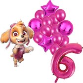 Paw Patrol Skye ballonnen pakket - 61x91cm - 6 jaar - Folie Ballon set - Themafeest - Verjaardag - Ballonnen - Versiering - Helium ballon