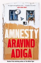 ISBN Amnesty, Roman, Anglais, 352 pages