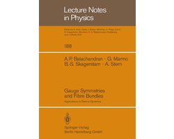 Gauge Symmetries and Fibre Bundles