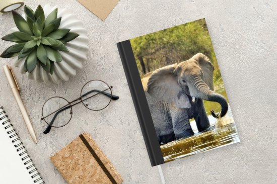 Carnet - Carnet d'écriture - Eléphant au bain - Carnet - Format A5 - Bloc-notes
