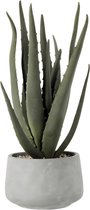 Dulaire Aloe Vera Kunstplant in Pot 36 cm