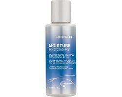 Joico - Moisture Recovery Shampoo
