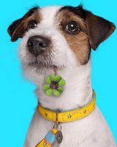 DWAM Dog with a Mission – Halsband hond – Hondenhalsband – Geel – XXXS – Leer – Halsomvang tussen 15-21 x 2 cm – Blue Star