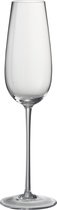 J-Line Verre A Champagne Tia Verre Transparent