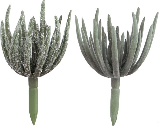 J-Line vetplant Echeveria - kunststof - groen - medium - 2 stuks